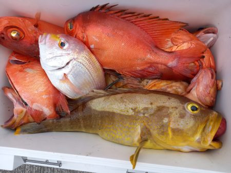 第二龍勢丸 釣果