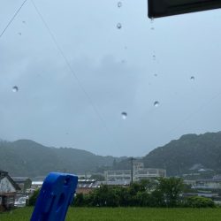 「LaGooN」蒼陽丸 日和号 釣果
