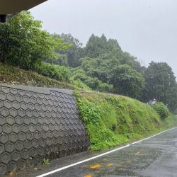 「LaGooN」蒼陽丸 日和号 釣果