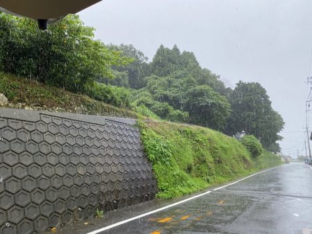 「LaGooN」蒼陽丸 日和号 釣果