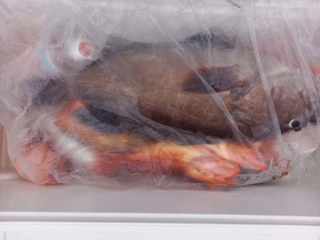 第二龍勢丸 釣果