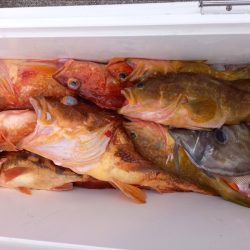 第二龍勢丸 釣果