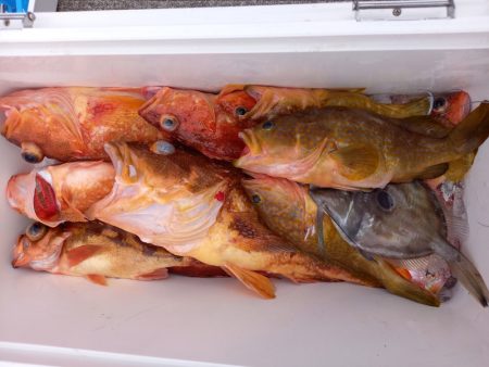 第二龍勢丸 釣果