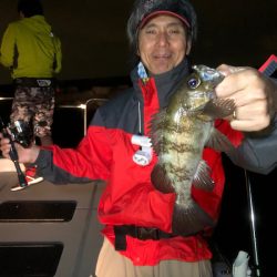 Chase（チェイス） 釣果