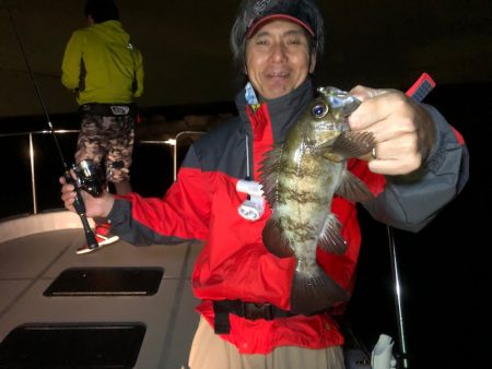 Chase（チェイス） 釣果