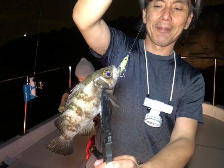 Chase（チェイス） 釣果