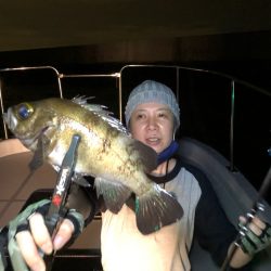 Chase（チェイス） 釣果