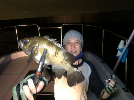 Chase（チェイス） 釣果