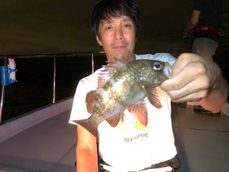 Chase（チェイス） 釣果