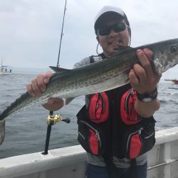 ランスルー 釣果