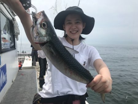 ランスルー 釣果