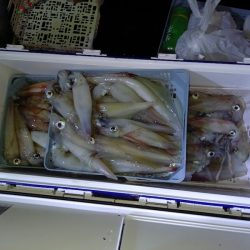 第二龍勢丸 釣果