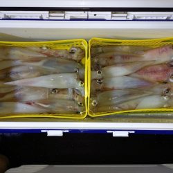 第二龍勢丸 釣果