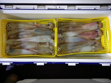 第二龍勢丸 釣果