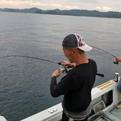 アマテラス 釣果