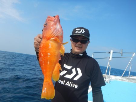 きずなまりん 釣果