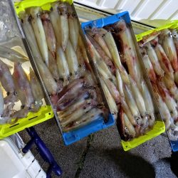 第二龍勢丸 釣果