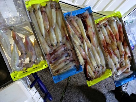 第二龍勢丸 釣果