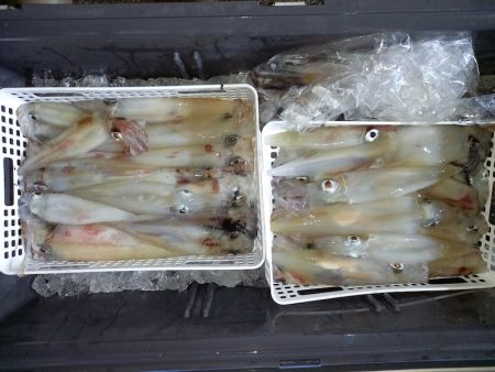 第二龍勢丸 釣果