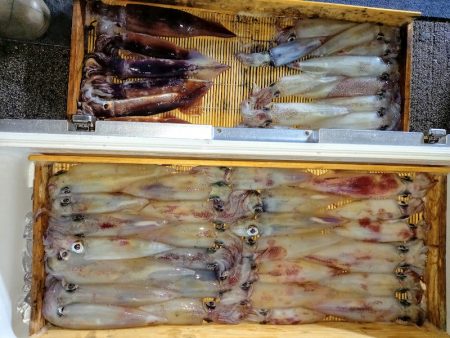 第二龍勢丸 釣果