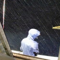 第二龍勢丸 釣果