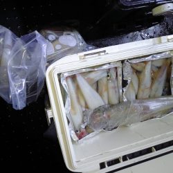 第二龍勢丸 釣果