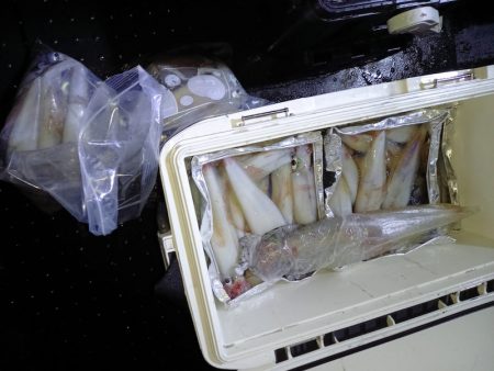 第二龍勢丸 釣果