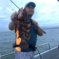 Chase(チェイス) 釣果