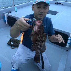 Chase(チェイス) 釣果