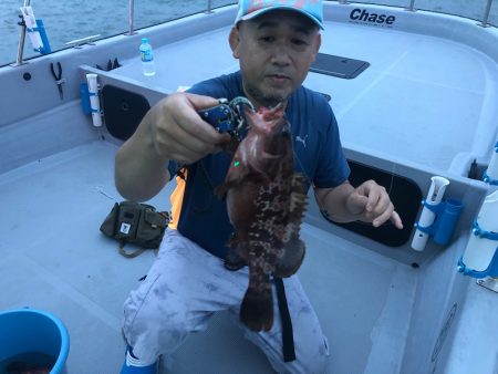 Chase(チェイス) 釣果