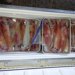 第二龍勢丸 釣果