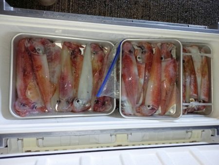 第二龍勢丸 釣果