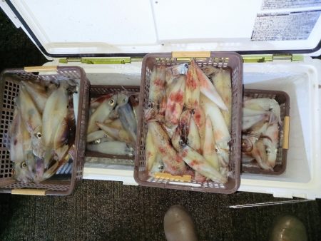 第二龍勢丸 釣果