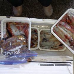 第二龍勢丸 釣果