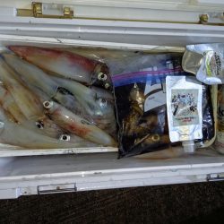 第二龍勢丸 釣果