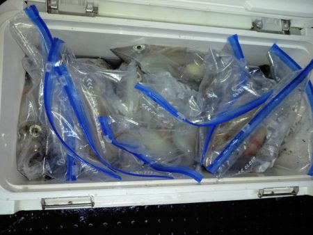 第二龍勢丸 釣果