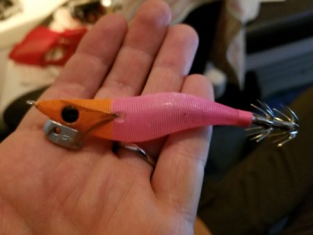 アマテラス 釣果