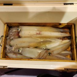 海龍丸(石川) 釣果