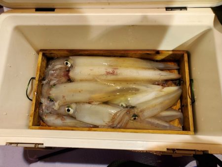 海龍丸(石川) 釣果