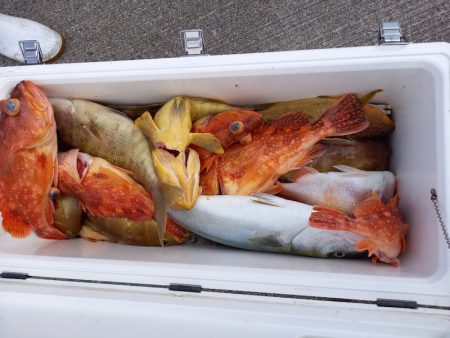 第二龍勢丸 釣果