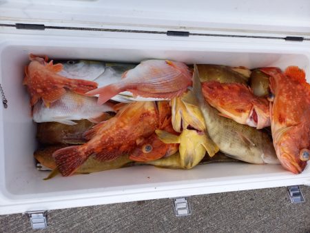 第二龍勢丸 釣果