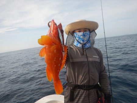 きずなまりん 釣果