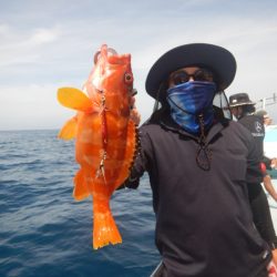 きずなまりん 釣果