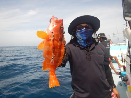きずなまりん 釣果