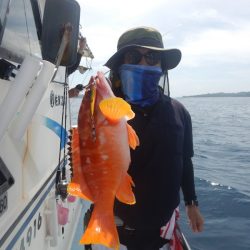 きずなまりん 釣果