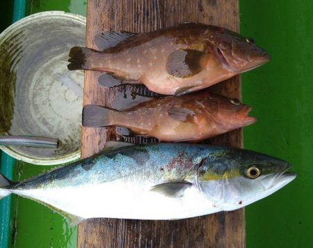 小島丸 釣果