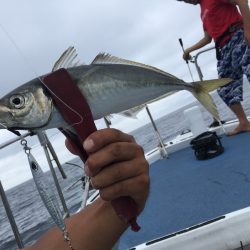 渡船屋たにぐち 釣果