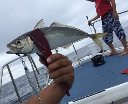 渡船屋たにぐち 釣果