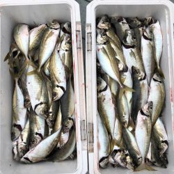 フィッシング　キッタカ 釣果