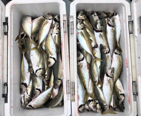 フィッシング　キッタカ 釣果